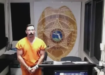 Driver Accused in Fatal Little Havana Hit-and-Run Granted $15,000 Bond